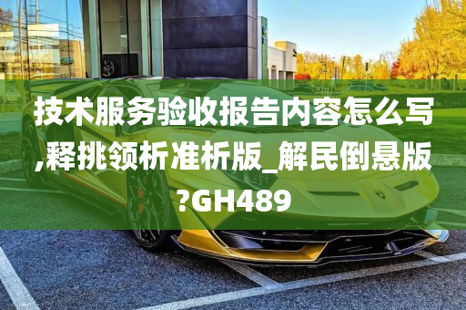 技术服务验收报告内容怎么写,释挑领析准析版_解民倒悬版?GH489