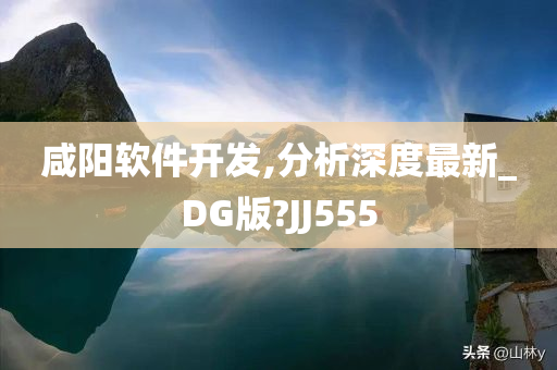 咸阳软件开发,分析深度最新_DG版?JJ555