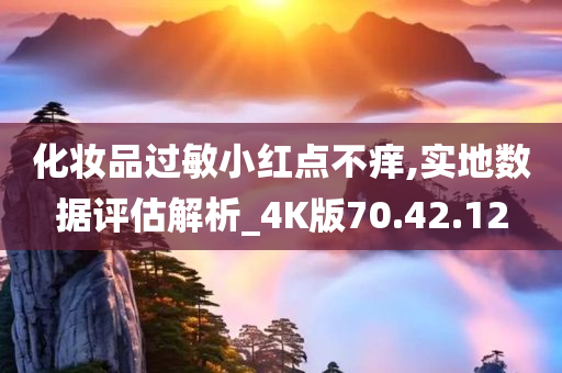 化妆品过敏小红点不痒,实地数据评估解析_4K版70.42.12