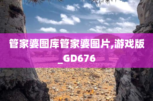 管家婆图库管家婆图片,游戏版_GD676