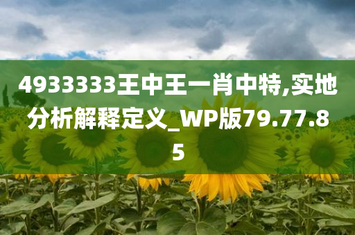 4933333王中王一肖中特,实地分析解释定义_WP版79.77.85