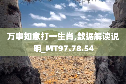 万事如意打一生肖,数据解读说明_MT97.78.54