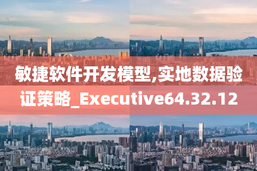 敏捷软件开发模型,实地数据验证策略_Executive64.32.12