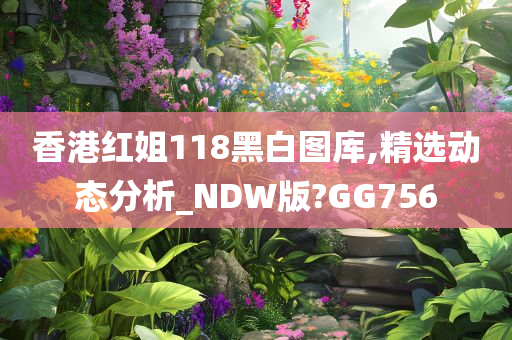 香港红姐118黑白图库,精选动态分析_NDW版?GG756