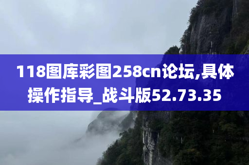 118图库彩图258cn论坛,具体操作指导_战斗版52.73.35