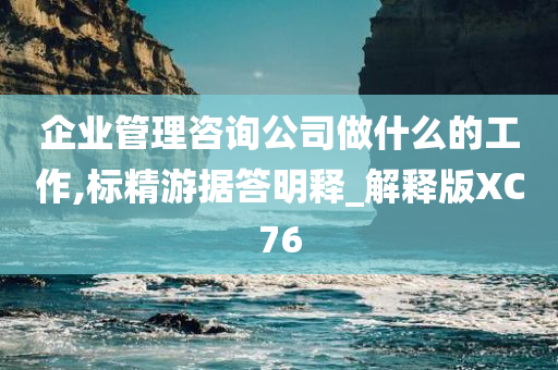 企业管理咨询公司做什么的工作,标精游据答明释_解释版XC76