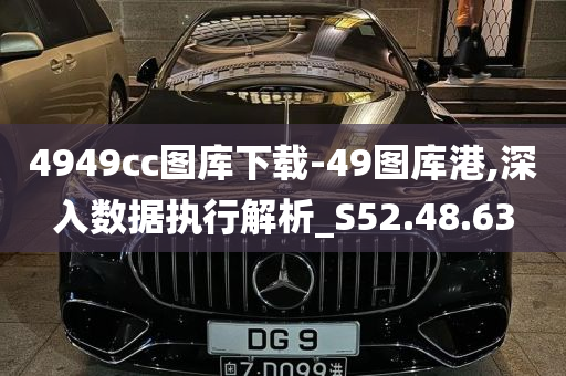 4949cc图库下载-49图库港,深入数据执行解析_S52.48.63