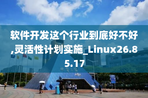 软件开发这个行业到底好不好,灵活性计划实施_Linux26.85.17