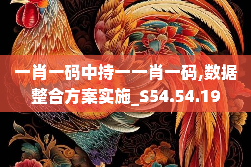 一肖一码中持一一肖一码,数据整合方案实施_S54.54.19