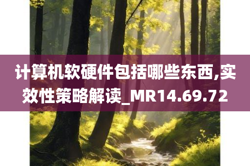 计算机软硬件包括哪些东西,实效性策略解读_MR14.69.72