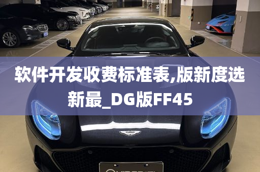 软件开发收费标准表,版新度选新最_DG版FF45