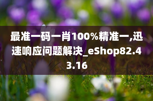 最准一码一肖100%精准一,迅速响应问题解决_eShop82.43.16