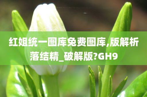 红姐统一图库兔费图库,版解析落结精_破解版?GH9