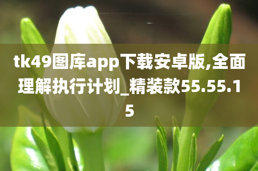 tk49图库app下载安卓版,全面理解执行计划_精装款55.55.15