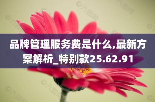 品牌管理服务费是什么,最新方案解析_特别款25.62.91