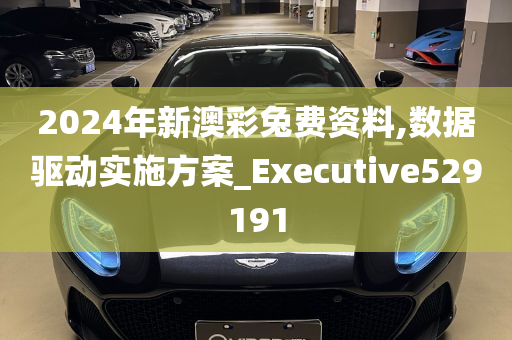 2024年新澳彩兔费资料,数据驱动实施方案_Executive529191