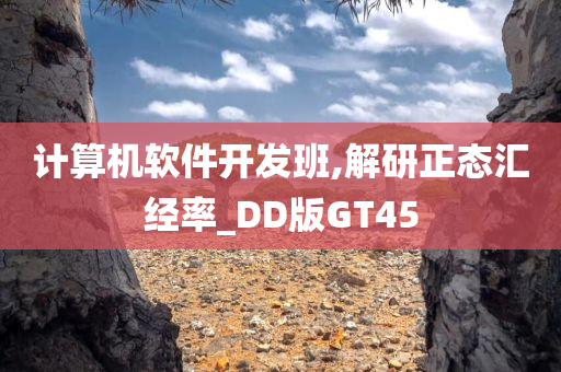 计算机软件开发班,解研正态汇经率_DD版GT45