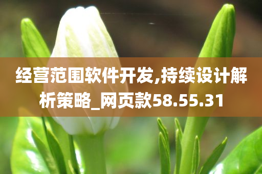 经营范围软件开发,持续设计解析策略_网页款58.55.31