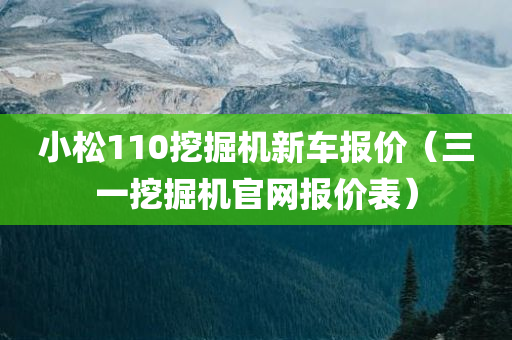 小松110挖掘机新车报价（三一挖掘机官网报价表）