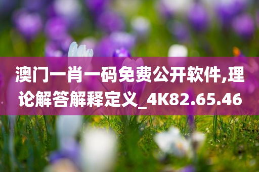 澳门一肖一码免费公开软件,理论解答解释定义_4K82.65.46