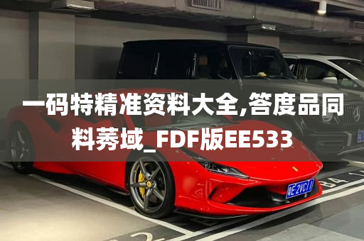 一码特精准资料大全,答度品同料莠域_FDF版EE533