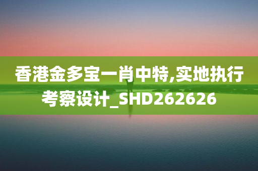 香港金多宝一肖中特,实地执行考察设计_SHD262626