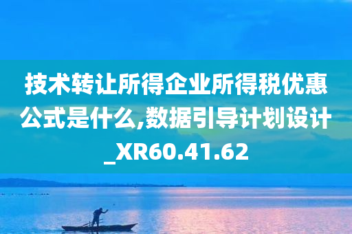 技术转让所得企业所得税优惠公式是什么,数据引导计划设计_XR60.41.62