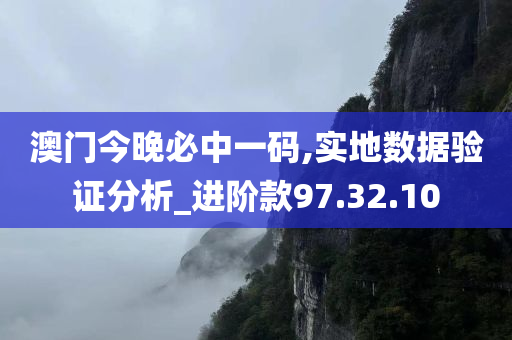 澳门今晚必中一码,实地数据验证分析_进阶款97.32.10