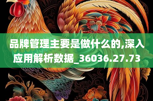 品牌管理主要是做什么的,深入应用解析数据_36036.27.73