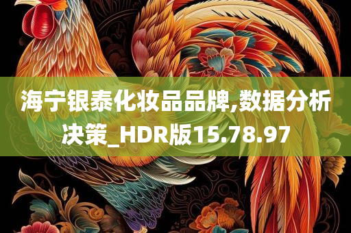 海宁银泰化妆品品牌,数据分析决策_HDR版15.78.97