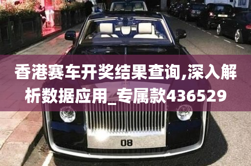 香港赛车开奖结果查询,深入解析数据应用_专属款436529