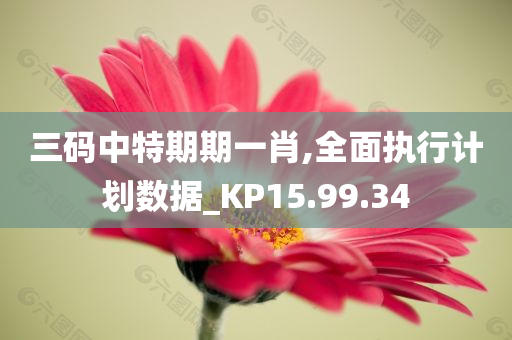 三码中特期期一肖,全面执行计划数据_KP15.99.34