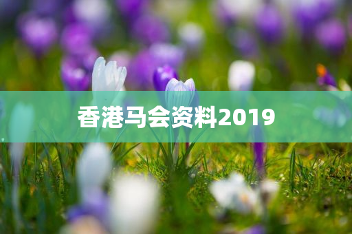 香港马会资料2019