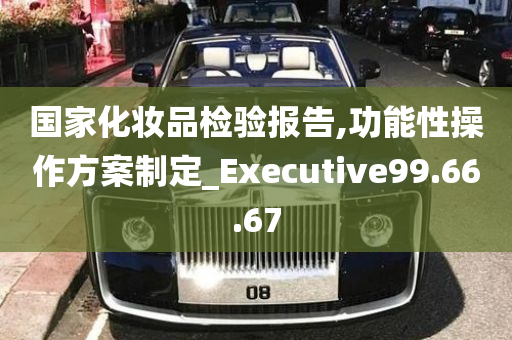 国家化妆品检验报告,功能性操作方案制定_Executive99.66.67