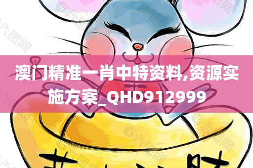 澳门精准一肖中特资料,资源实施方案_QHD912999