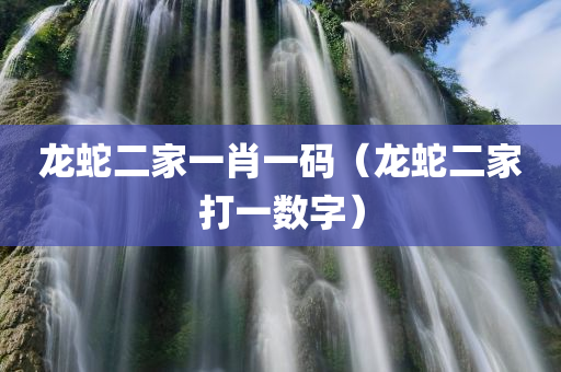 龙蛇二家一肖一码（龙蛇二家打一数字）