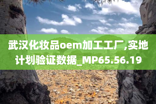 武汉化妆品oem加工工厂,实地计划验证数据_MP65.56.19