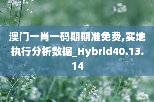 澳门一肖一码期期准免费,实地执行分析数据_Hybrid40.13.14