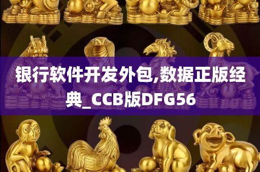 银行软件开发外包,数据正版经典_CCB版DFG56