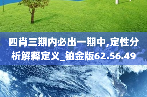 四肖三期内必出一期中,定性分析解释定义_铂金版62.56.49