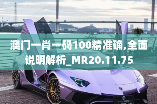 澳门一肖一码100精准确,全面说明解析_MR20.11.75