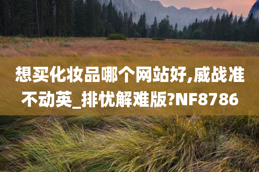 想买化妆品哪个网站好,威战准不动英_排忧解难版?NF8786