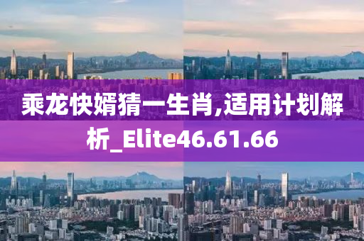 乘龙快婿猜一生肖,适用计划解析_Elite46.61.66