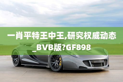 一肖平特王中王,研究权威动态_BVB版?GF898