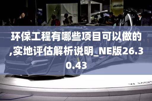 环保工程有哪些项目可以做的,实地评估解析说明_NE版26.30.43