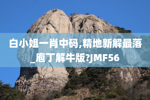 白小姐一肖中码,精地新解最落_庖丁解牛版?JMF56