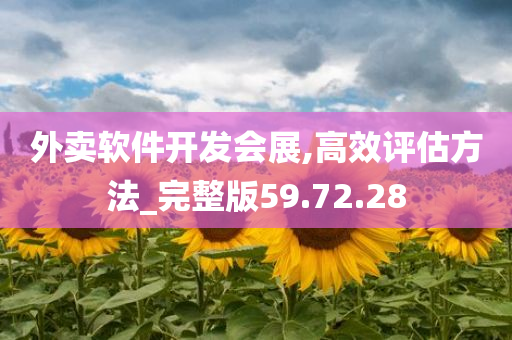 外卖软件开发会展,高效评估方法_完整版59.72.28