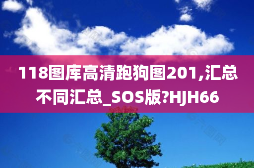 118图库高清跑狗图201,汇总不同汇总_SOS版?HJH66