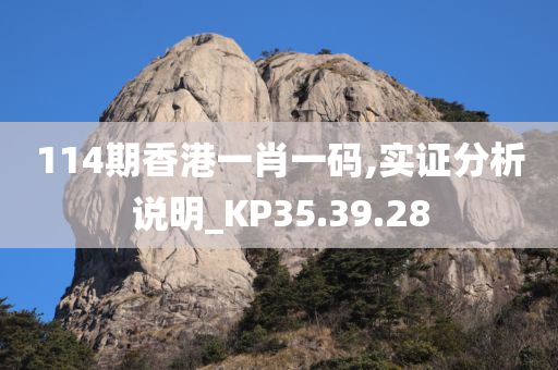 114期香港一肖一码,实证分析说明_KP35.39.28