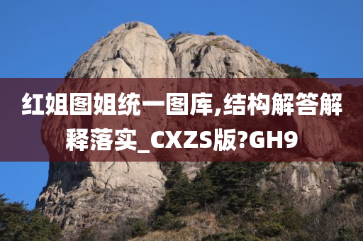 红姐图姐统一图库,结构解答解释落实_CXZS版?GH9